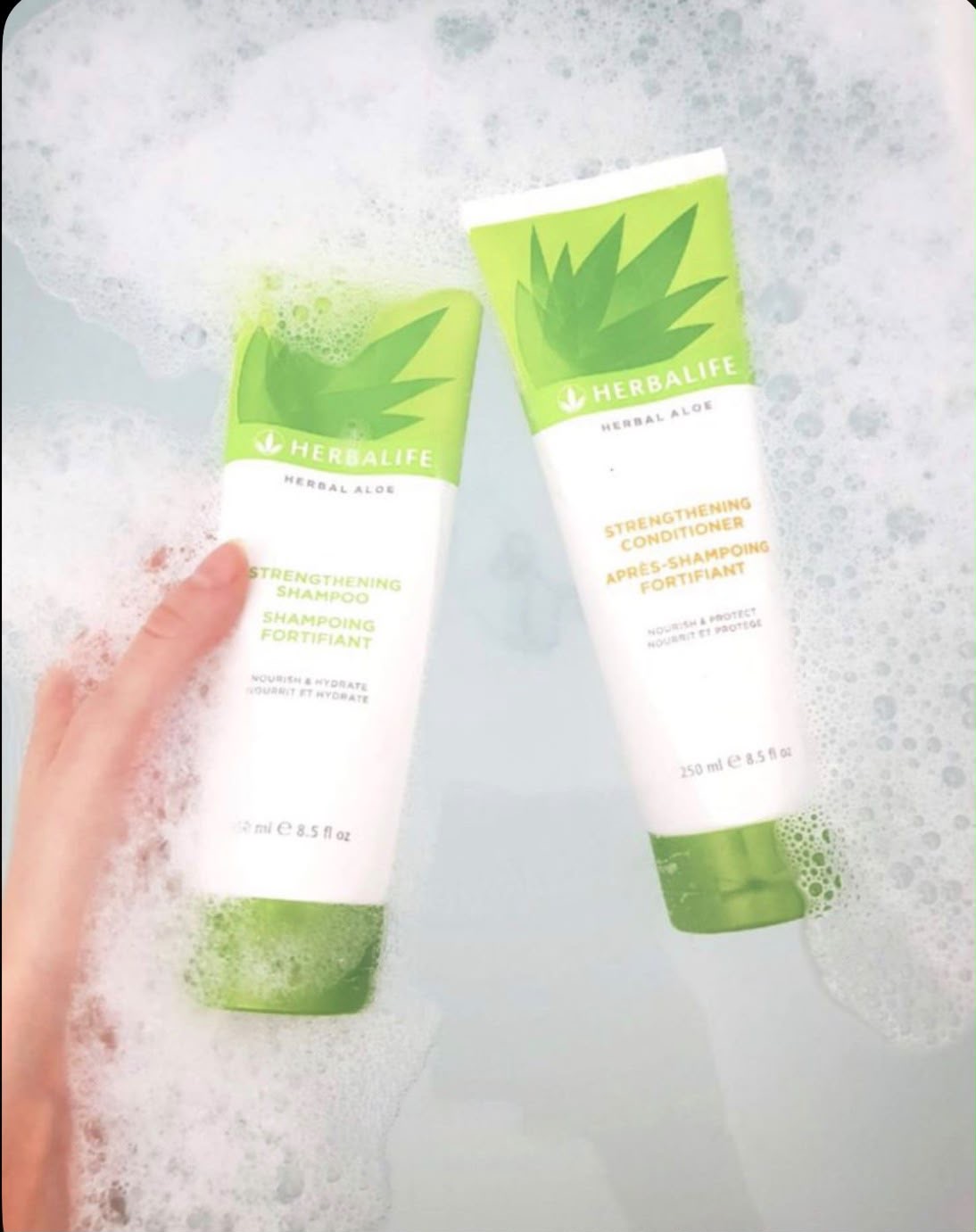 Routine Herbal Aloe Herbalife