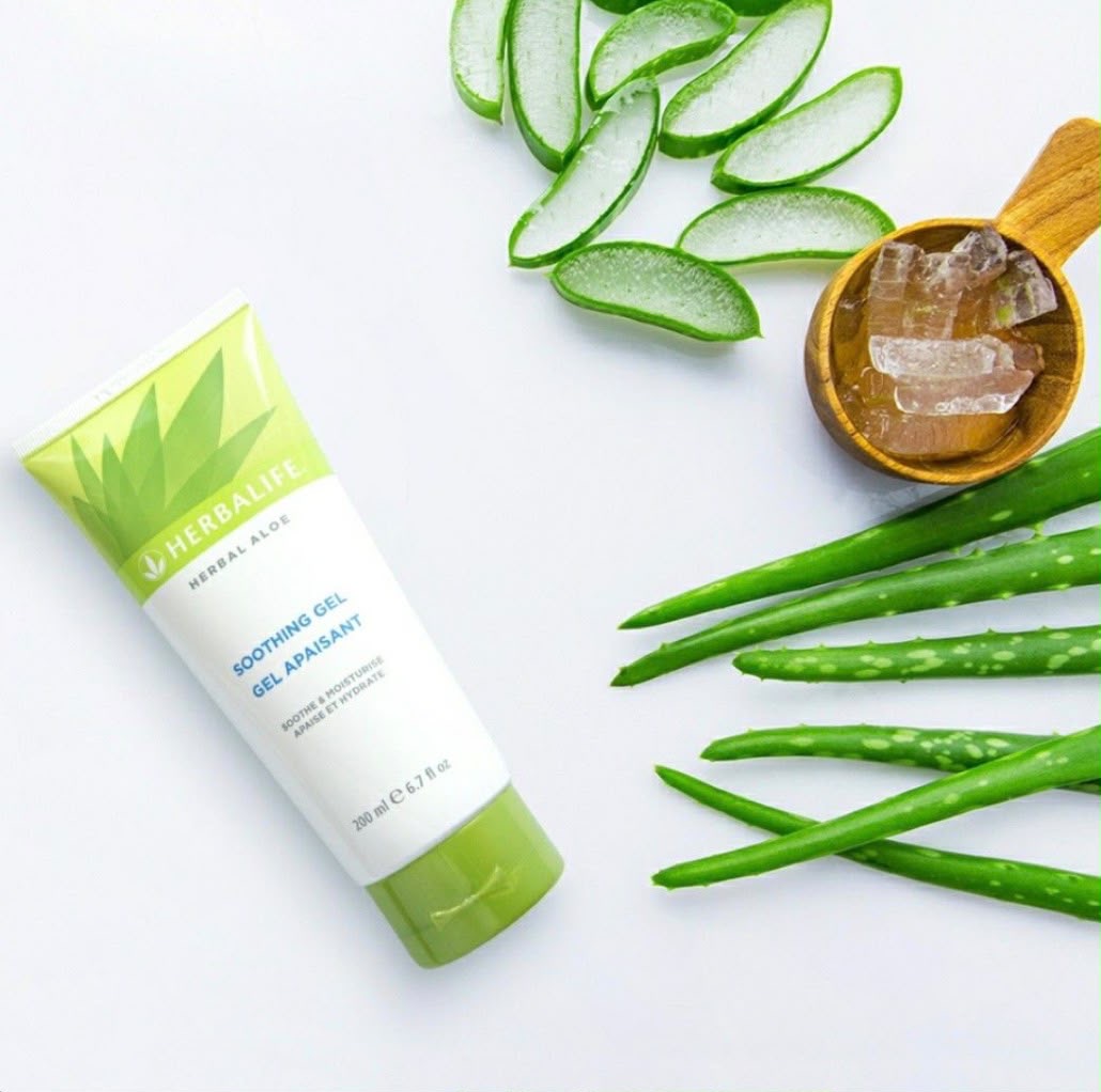 Soin Herbal Aloe Herbalife